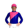 Navy Blue, Pink Diagonal Half And Cap