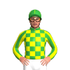 Green And Yellow Checks, Striped Sleeves, Seams Cap