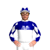 White And Navy Halves, Vic Husslers Logo, White And Navy Diamonds Sleeves And Cap