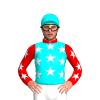 AQUA, WHITE STARS, RED AND WHITE STARS SLEEVES, RED COLLAR