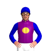 PURPLE, GOLD DISC, MEDIUM BLUE SLEEVES, CAP