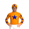 ORANGE,NAVY STAR,STARS SLEEVES,ORANGE CAP,NAVY STAR CAP
