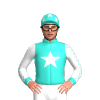 TURQUOISE , WHITE STAR, SLEEVES, TURQUOISE SEAMS, CUFF, CAP, WHITE STARS