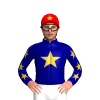 NAVY, GOLD STAR, RED SLEEVES, GOLD STARS, RED CAP, GOLD STAR