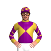 GOLD, PURPLE DIABLO, CHEVRONS SLEEVES, PURPLE CAP, GOLD CHECKS