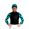 BLACK,AQUA DIAMOND, CHECKS SLEEVES,CHECKS CAP