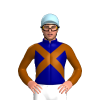 NAVY, BROWN CROSSED SASHES, SLEEVES, LIGHT BLUE CAP