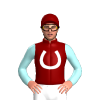 Maroon, White Horseshoe, Pale Blue Sleeves