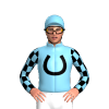 Sky Blue, Black Horseshoe With CS, Diamond Checked Sleeves