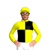 Yellow, Black Quarters