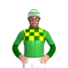 DARK GREEN,YELLOW CHECKS,GREEN HALVED,YELLOW CHECKS SLEEVES,GREEN HALVED SLEEVES,WHITE CAP,GREEN HOOPS CAP,WHITE EPAK