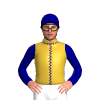 Gold, Navy Blue Seams And Sleeves, Gold Lightning Bolt, Navy Blue Cap