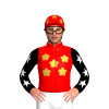 Red, Gold Bird Of Paradise Flower, Black Sleeves, White Stars, Red Cap, Gold Stars
