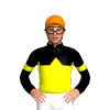 BLACK, YELLOW HALVED, YELLOW DIAMOND BAND,ARMBANDS, Orange cap