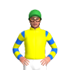 YELLOW, BLACK FIVE STARS, BLUE SLEEVES, YELLOW HOOPS, Green cap