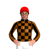BLACK, BROWN CHECKS, STRIPES SLEEVES, Red cap
