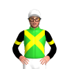 LIME GREEN,YELLOW CROSS SASHES,BLACK SLEEVES,YELLOW ARMBANDS, White cap