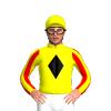 Jockey Silk