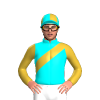 Jockey Silk