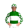 Jockey Silk