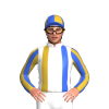 Jockey Silk