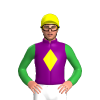 Jockey Silk