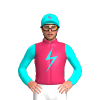 Jockey Silk