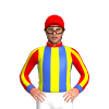 Jockey Silk