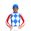 Jockey Silk