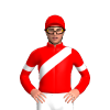 Jockey Silk