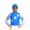 Jockey Silk