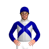 Jockey Silk