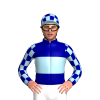 Jockey Silk