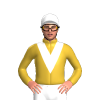 Jockey Silk