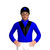 Jockey Silk