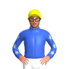 Jockey Silk