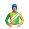 Jockey Silk