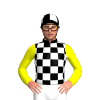 Jockey Silk