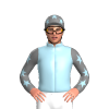 Jockey Silk