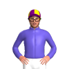 Jockey Silk