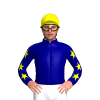 Jockey Silk