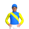 Jockey Silk