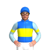 Jockey Silk