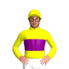 Jockey Silk