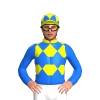 Jockey Silk
