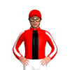 Jockey Silk