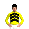 Jockey Silk