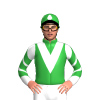 Jockey Silk