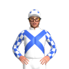 Jockey Silk
