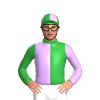 Jockey Silk